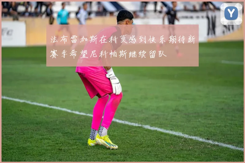 法布雷加斯在科莫感到快乐期待新赛季希望尼科帕斯继续留队