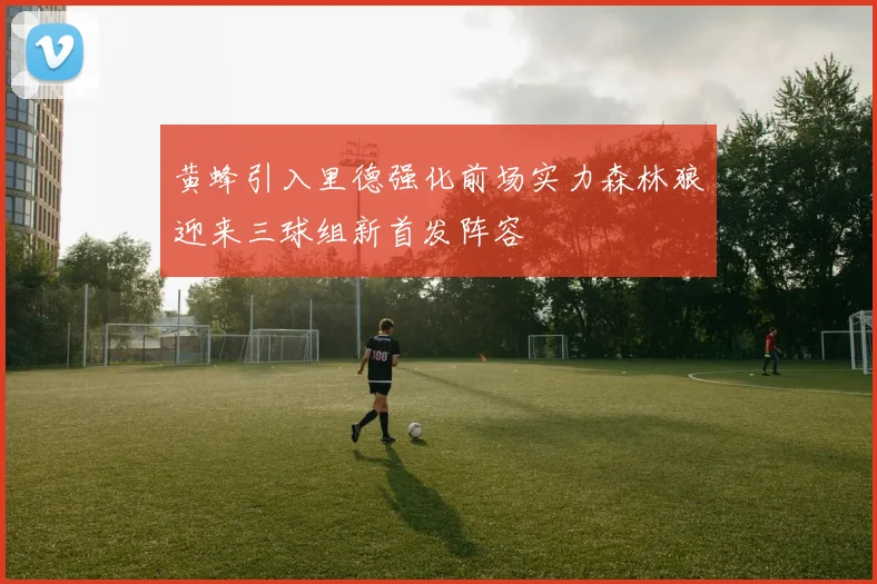 黄蜂引入里德强化前场实力森林狼迎来三球组新首发阵容